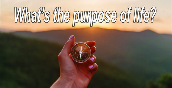 What’s the purpose of life?