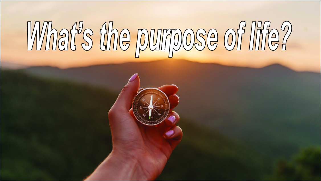 What’s the purpose of life?